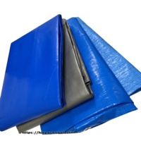 Rouleau de bâche PE imperméable, résistant aux UV, robuste, uni, pour garçons et filles, usage extérieur polyvalent