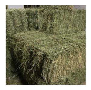 Meilleures ventes de foin d'alfalfa/lucerne et de foin de luzerne de qualité supérieure, emballage personnalisé pour les chevaux et les bovins, aliments pour animaux - Product Image 2