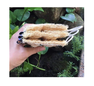 ใยบวบแห้งจากเวียดนามที่มีคุณภาพดีสำหรับตัวแปรง/ทำความสะอาด - Product Image 1