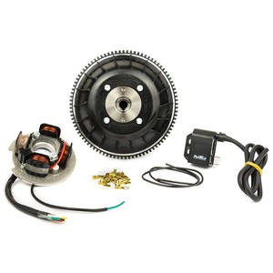 Flytech 20mm Ignition Cone 1.5Kg 5 Wires for Bee <b>Motorcycle</b> <b>Electrical</b> & Ignition <b>Systems</b> - Product Image 1