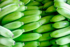 Plátanos Cavendish Frescos Orgánicos, Deliciosos, de Alta Calidad, Precio Competitivo - Para Mayoristas, En Venta - Product Image 2