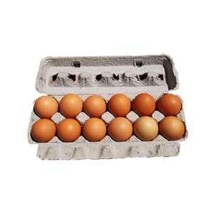 Huevos marrones de calidad de exportación disponibles en grandes cantidades para suministro al por mayor - Product Image 1