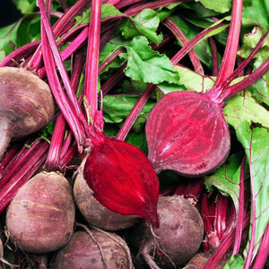 บีทรูทสีแดงที่ขายดีที่สุด: ผักที่ใช้กันทั่วไปอุดมไปด้วยธาตุเหล็กฟอสฟอรัสและโพแทสเซียม - Product Image 3