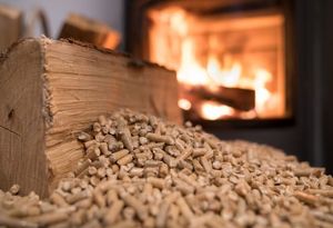 Granulés de bois de pin de haute qualité, briquettes sans humidité (0%), 100 calories pour systèmes de chauffage - Product Image 4