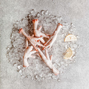 Patas de Pollo de Primera Calidad, Bajas en Grasa, Congeladas, en Paquete a Granel, Estilos Cocinados y Secos, con Piezas Icónicas de Cuerpo y Patas - Product Image 1