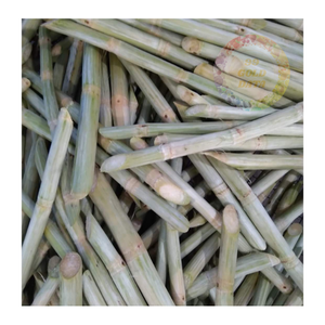 Trozos de caña de azúcar congelados de alta calidad: perfectos para jugos, cócteles y pedidos de gran volumen - Product Image 3