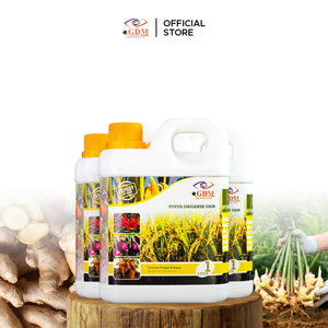 Engrais liquide soluble dans l'eau GDM Premium Bio Organic pour riz, maïs, palmiers, arbres fruitiers et légumes - Product Image 3