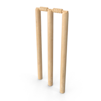 Souches de cricket professionnelles avec béliers en bois Logo personnalisé portillons de souche de cricket en bois meilleure qualité