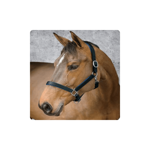 Prix de gros Produits équestres de haute qualité Conception personnalisée Halters Bright Rembourré Halter pliable léger pliable - Product Image 1