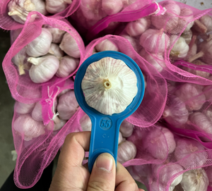 กระเทียม<span class=keywords><strong>สด</strong></span>ขนาด5.5ซม. <span class=keywords><strong>3</strong></span>.5กก./ถุงตาข่าย - Product Image 1