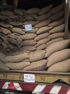 เมล็ดกาแฟโรบัสต้าพรีเมี่ยม, เมล็ดกาแฟจากเวียดนามขนาด13-16 18ขนาดสัมผัส + 84398885178 - Product Image 2