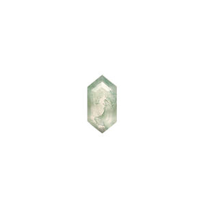 "Moss Agate Hexagon Cut 10x5mm 1,20 Cts Cuentas sueltas de piedras preciosas para la fabricación de joyas" - Product Image 1