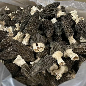 Champignon Morel entier séché naturel du Vietnam à base de champignons sauvages de qualité supérieure pour les marchés alimentaires mondiaux - Product Image 4