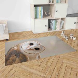 Alfombra Estampada con Diseño de Búho: Personalizada, para Baño, Decoración de Oficina, Animal, Contemporánea, con Pelo Suave - Product Image 3