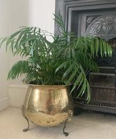 Jardinière décorative en métal massif 2026, idéale pour les longs balcons ou les jardins de terrasse pour cultiver des herbes, des plantes à fleurs ou des légumes-feuilles