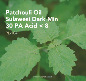 Huile d'aromathérapie au parfum frais de patchouli, Sulawesi Dark Min 30 PA Acid < 8 (PL-104) Van Aroma - Product Image 2
