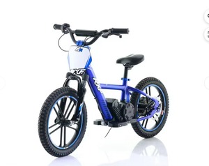 NEW Quality RXF_PRO BALANCE <b>BIKE</b> DNA 28 60V 500W Brushless Motor + Brushless Controller Integrated Battery Alloy Steel <b>Frame</b> - Product Image 1