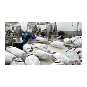 Thon jaune congelé de haute qualité, organisé pour une approvisionnement commercial régulier - Product Image 4