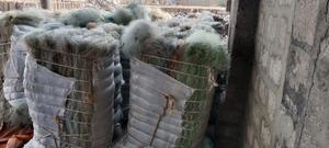 ใช้ไนลอนตกปลา6 (ขยะ)-multifilament & monofilament. - Product Image 5