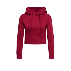 Sudaderas Cortas de Manga Larga para Gimnasio de Alta Calidad, Lisas, para Mujer, con Logotipo Personalizado, para la Temporada de Invierno, Sudaderas Cortas para Mujer, Nueva Llegada - Product Image 6