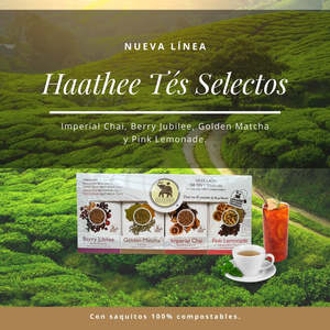 Thé à la menthe verte biologique, style sachet, certifié halal - Product Image 2