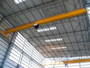 Hội Thảo Kho 1 Tấn 2 Tấn 3 Tấn 5ton 10ton 15 Tấn 20 Tấn Điện Châu Âu Duy Nhất Dầm Trên Cao Eot Cầu Cần Cẩu Cho Bán - Product Image 5