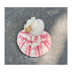 Pince à cheveux en coquillage faite à la main, accessoires uniques pour les cheveux en coquillage océanique pour femmes, exprimez votre personnalité avec un style de plage d'été - Product Image 4