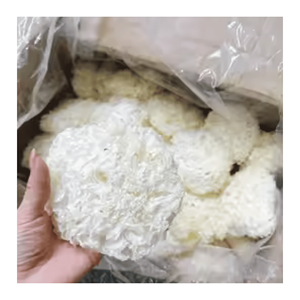 Champignon Tremella séché pur pour dessert au sucre, soupe, cuisine et utilisation en cuisine asiatique, origine Vietnam - Product Image 2