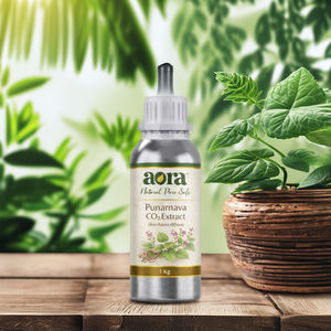 Extracto de Punarnava CO2, Extracto Vegetal Premium para una Salud Óptima (Boerhavia diffusa) - Product Image 4