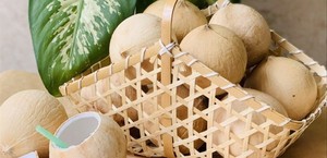 LIMPIA COCO FRESCO/EL MEJOR PRODUCTO COCO // AGUA DE COCO MÁS PURA - Product Image 5