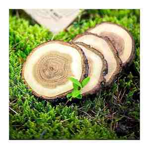 Posavasos personalizables de artesanías más vendidos, madera de mango de nogal, forma personalizada, diseño personalizado con alta calidad - Product Image 1