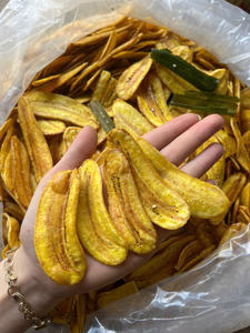 Plátano Seco Vietnamita Hecho con Material de Fruta Seleccionado Diseñado para Envasado de Refrigerios, Repostería e Industria Alimentaria - Product Image 5