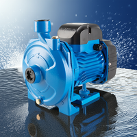 Pompe centrifuge haute performance 1 CV 750 W pour eau propre SCM-52 220 V en fonte pour irrigation agricole et surpression de conduite domestique