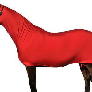 Vente en gros 2022 équitation hiver chaud tapis Logo personnalisé imprimé toile imperméable polaire coton remplissage multi-couleurs équine utilisation - Product Image 4