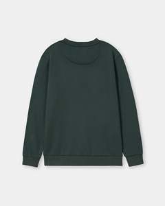 Sweat-shirts en gros de qualité supérieure, sweat-shirts de couleur pour hommes en polaire avec col montant - Product Image 2