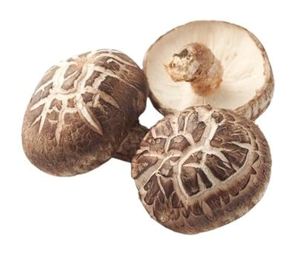 Champignons Shiitake séchés comestibles de culture biologique en gros à vendre - Product Image 3