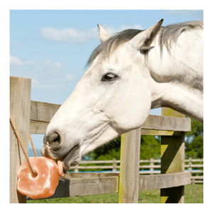 Himalayan บล็อกเกลือหินหิมาลัย,เกลือธรรมชาติรูปสัตว์เลียด้วยเชือกน้ำหนัก<span class=keywords><strong>3</strong></span>-5กก. - Product Image 5