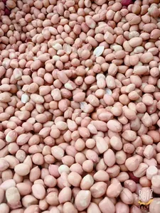 Bán buôn vỏ đậu phộng rang muối đậu phộng lạc lạc hạt nhân để bán - Product Image 6