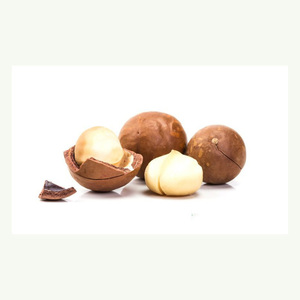 Commander des noix de macadamia en ligne crues grillées salées collation saine acheter des noix de macadamia fraîches en gros - Product Image 4