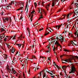 Venta de chiles rojos de alta calidad, procesados en India, RADIANCE GLOBAL TRADERS, tallo de 7 cm, 12 meses de duración. - Product Image 4
