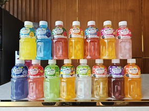 Bebidas de jugo de mango de alta calidad con Nata De Coco Cube Botella de PET de 500ml Marca Nico Precio al por mayor - Product Image 5