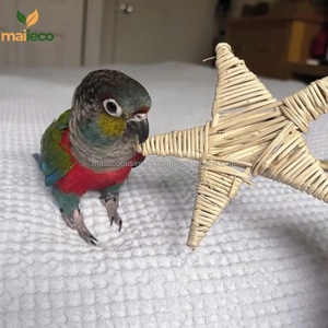 Vietnam encantador diseño Art Deco ratán estrella paja juguete colgante de pared retrato artesanías de mimbre para bodas y aniversarios - Product Image 4