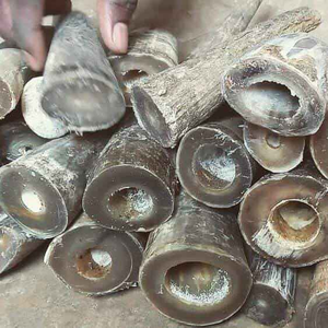 Punta de Cuerno de Búfalo Crudo, Pulida y Personalizada, Proveedor Mayorista, Producto y Tamaño Personalizado, a la Venta por Pieza - Product Image 5