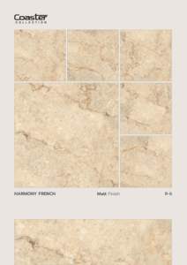 Collection de sous-verres 600x600mm Carreaux de sol et de mur en porcelaine mate Carreaux vitrifiés GVT PGVT pour intérieurs modernes pour chambre - Product Image 4