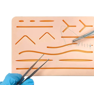 Personalizado 2025 ANAAIF hecho a mano acero silicona piel sutura práctica enseñanza modelo Manual fuente de alimentación - Product Image 2