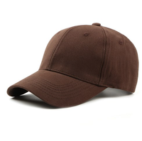 Topi Bisbol Berkualitas Tinggi dengan Harga Murah dari Vietnam 50Pcs/Karton
