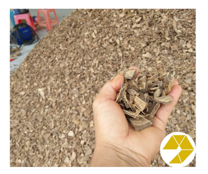 100% cáscara de coco cruda natural, cáscara de coco cruda Premium para manualidades y carbón, stock a granel, el mejor precio listo para exportar para la venta - Product Image 1