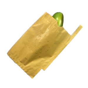 Bolsa <span class=keywords><strong>de</strong></span> Papel Kraft <span class=keywords><strong>de</strong></span> Doble Capa para Empacar <span class=keywords><strong>Mango</strong></span>, Bolsa <span class=keywords><strong>de</strong></span> Papel con Superficie Encerada para Empacar Frutas y Vegetales - Product Image 2