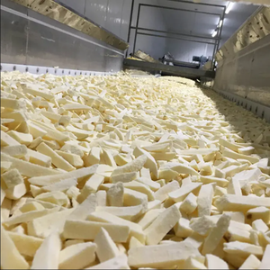 Papas fritas congeladas con cubos IQF, tiras cortadas de HTK Food Factory en AUSTRIA para alimentos y bebidas - Product Image 5