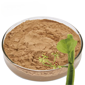 Extracto de Cissus Quadrangularis 100% Puro Más Vendido en 2026 para la Salud Ósea y el Bienestar Articular, Polvo Natural de Hadjod a Precio Económico - Product Image 2